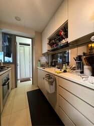 A Treasure Trove (D19), Condominium #598249481